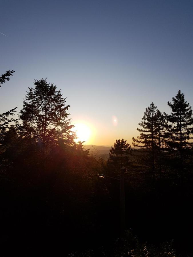 Sumska Bajka Villa Rudnik Dış mekan fotoğraf